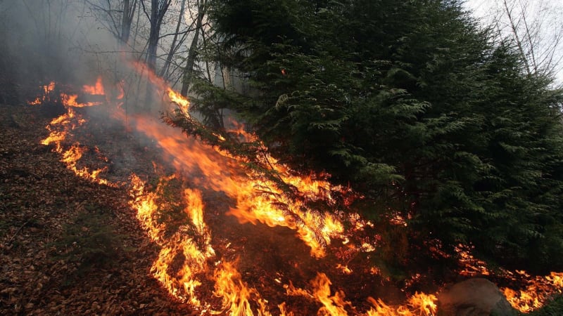 VÝSTRAHA: Kvůli vlnám veder hrozí v Česku požáry. Podívejte se, kde si dát pozor