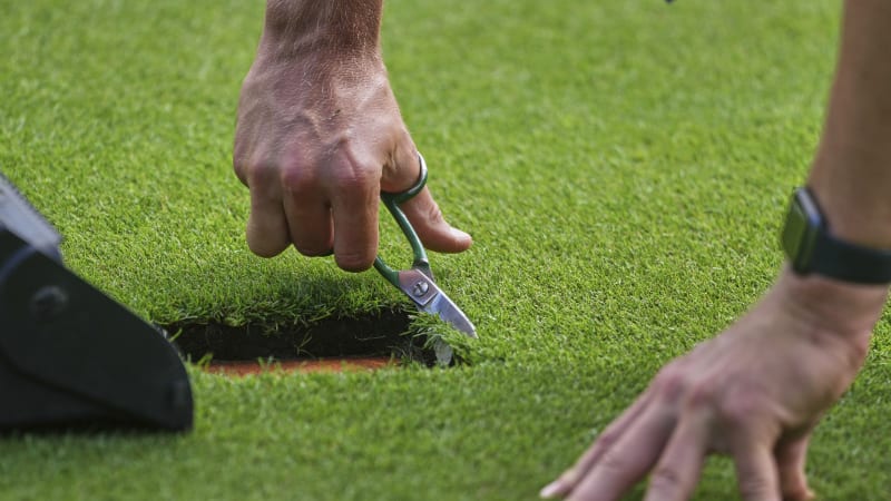 Tisíce tenisáků i květin: Wimbledon je jako divadlo. Proč je na kurtech tráva méně zelená?  