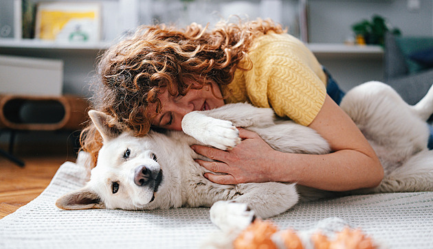 Zvíře vám nahradí psychologa. Co vás naučí doktorka kočka a co doktor pes