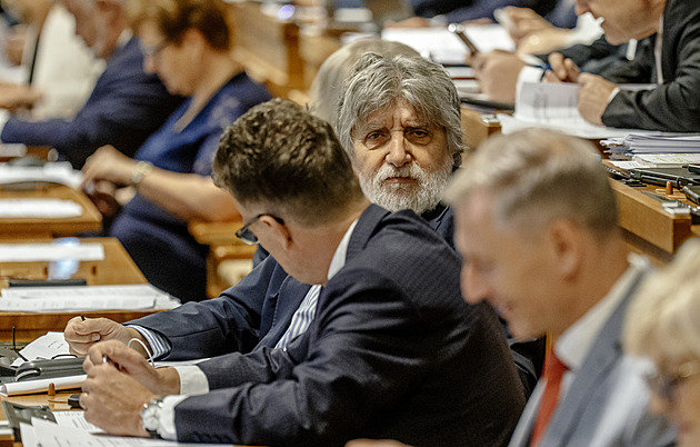 Senát zvyšuje rodičovský příspěvek. Chceme snížit dopady inflace, říká Juchelka