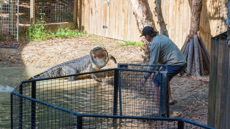 Krokodýl se během krmení vrhl na chovatele. Tragédii přihlíželi návštěvníci zoo u Austrálie