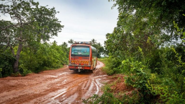 Svatebčané zůstali uvězněni v hořících troskách. Srážku autobusů v Tanzanii nepřežily desítky lidí