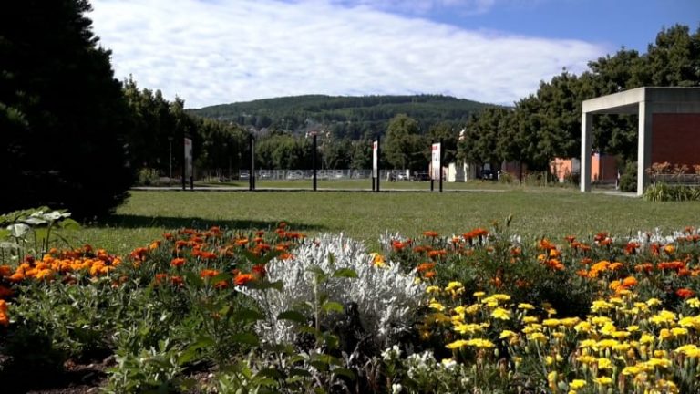 Zloději květin sužují zlínskou nemocnici. Plundrují záhony přímo před pacienty