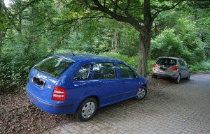 Auta u policejní školy opakovaně parkují v lesoparku. Výjimečně to jde, tvrdí prezidium