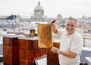 Horské včely v centru. Pražský med je pestřejší než ze vsi, líčí včelař z Alcronu