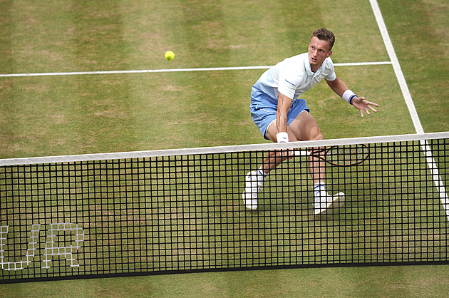 Wimbledon 2025: pavouk dvouhry mužů a žen, s kým hrají čeští tenisté
