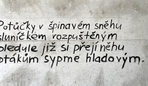 Místo holých stěn básně. Strašidelný podchod je pryč, nový zdobí verše