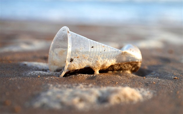 Vědci chtějí začít vyrábět analgetika z plastů, pomůžou jim bakterie