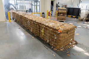 Stále hledáme způsob, jak dělat věci líp. Řetězec Action vzal Evropu útokem