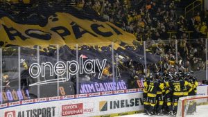 Hokejová kolébka Růžičky a Hlinky v ohrožení. Verva ztrácí sponzora, hrozí i konec v lize
