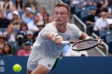 Lehečka a Nosková na Wimbledonu slaví úspěšný vstup do turnaje. O postup bojují další Češi