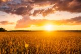 Na začátku července bude planeta Země nejdále od Slunce. Vzdálenost přesáhne 152 milionů kilometrů
