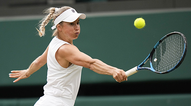 Vyvedete ho? Může mít nůž. Putincevová si ve Wimbledonu stěžovala na diváka
