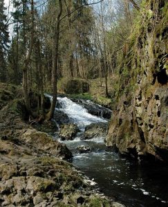Odumírající stromy uzavřely Bobří soutěsku, turisté se vrátí až na podzim