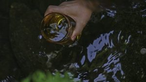 Vltava slavná i splavná: Projekt usiluje o zápis české řeky na celoevropský seznam