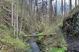 V úterý začíná platit zákaz vstupu do lesů v okolí Bobří soutěsky. Důvodem je kalamitní situace