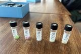 Čeští vědci vymysleli nový způsob recyklace magnetů do elektroaut. Mohlo by to vést k nezávislosti na Číně